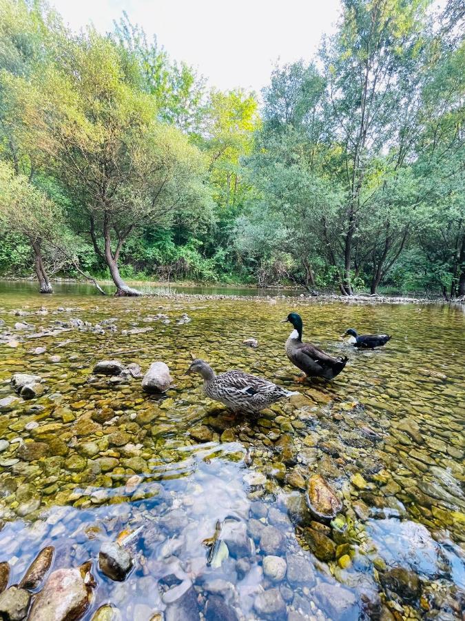 Skala Luxury Rooms Cetinje Luaran gambar